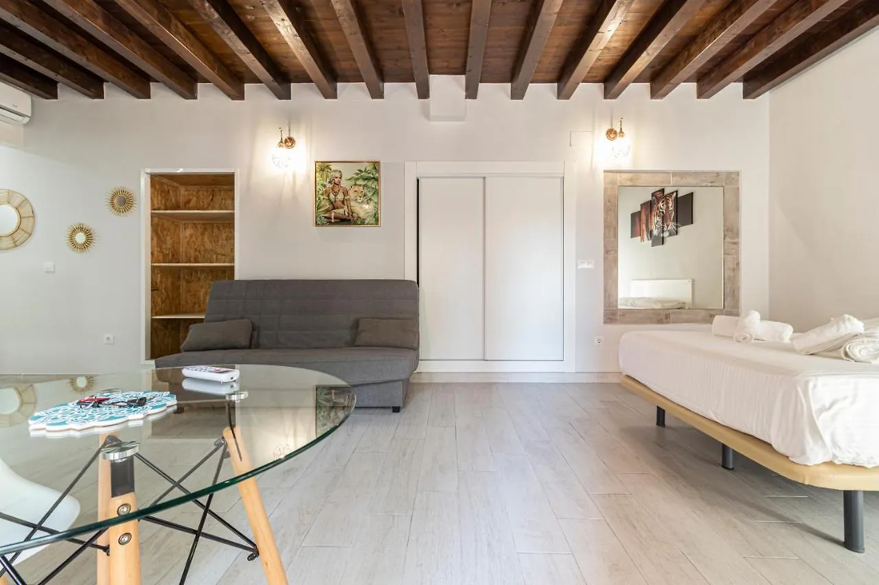 Allo Apartments Plateros Centro Jacuzzi Comunitario Jerez de la Frontera