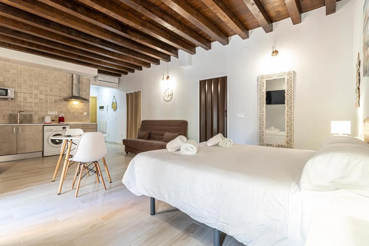 Allo Apartments Plateros Centro Jacuzzi Comunitario Jerez de la Frontera Španělsko
