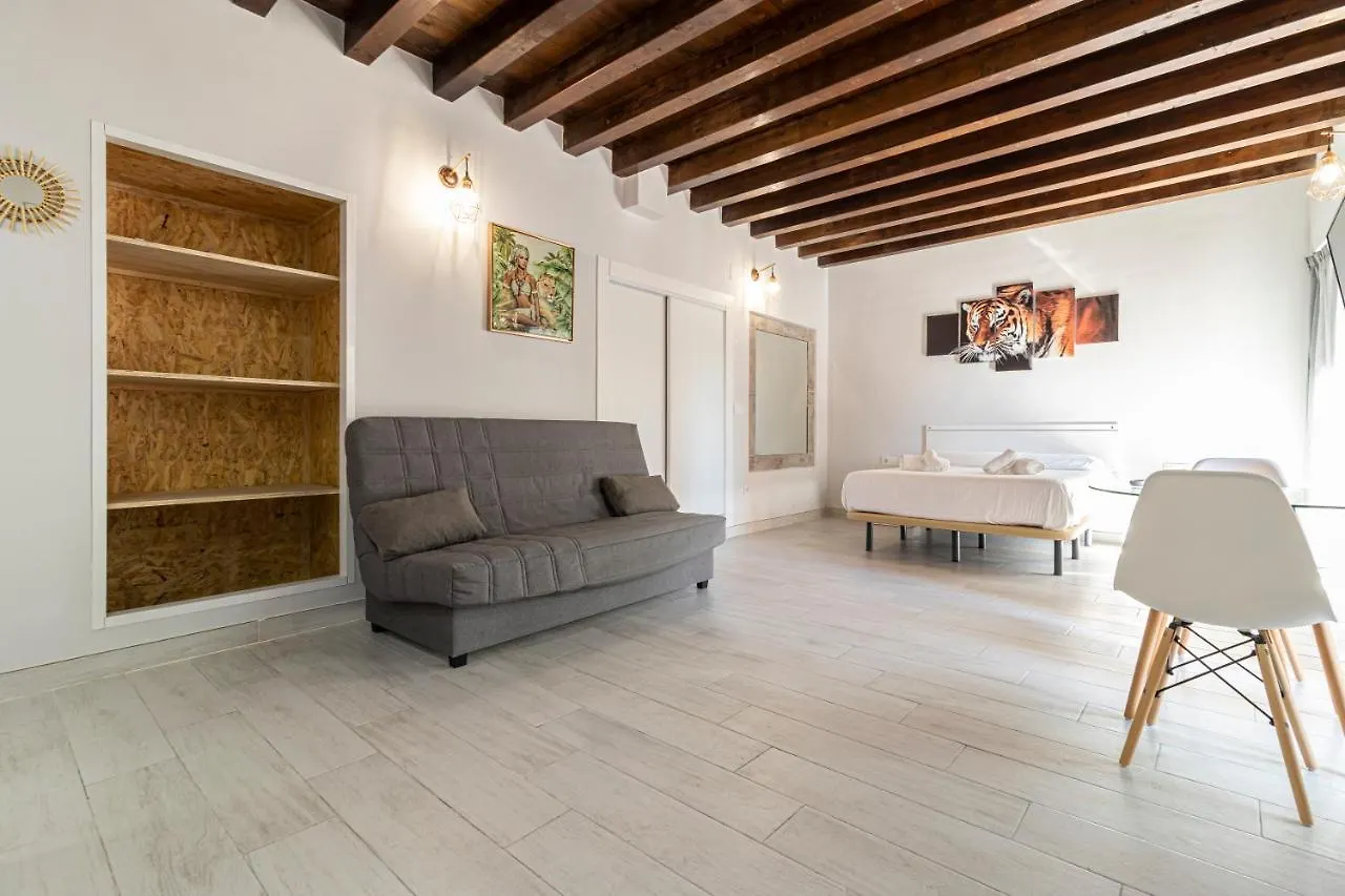 Allo Apartments Plateros Centro Jacuzzi Comunitario Jerez de la Frontera 0*,  Španělsko